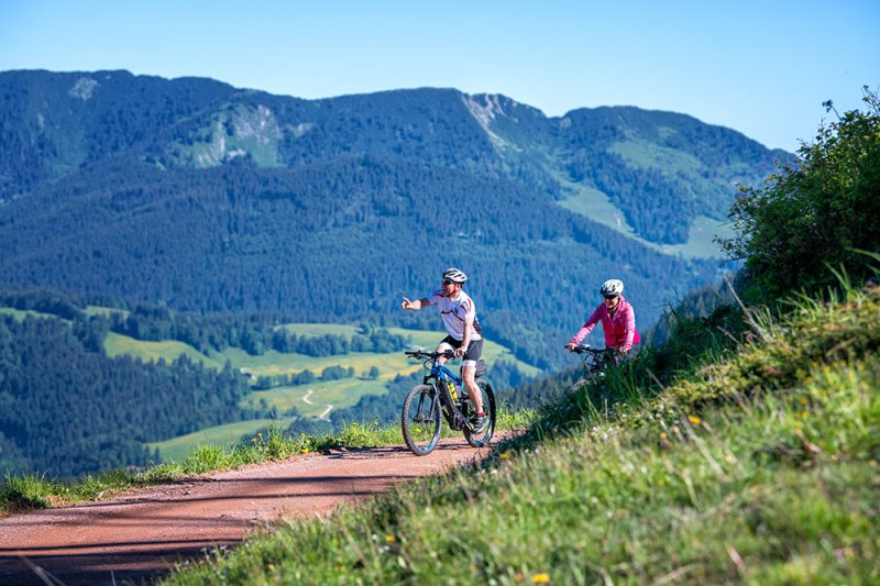 Salzburger Saalachtal, Urheber Kerstin Joensson