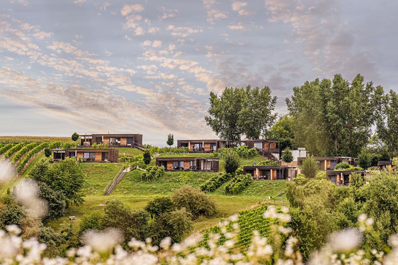 Weingarten-Resort Unterlamm Loipersdorf