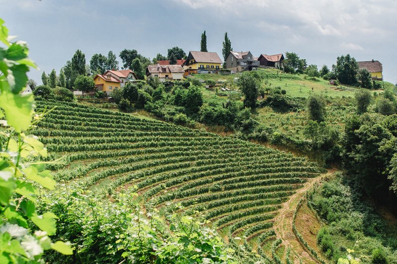 das kappel – wein.gut.hotel