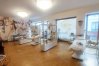 Dr. Brows Vienna