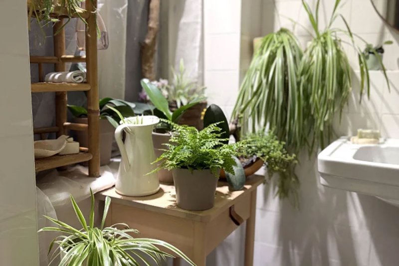 Feelbetter by Anna Ludwig