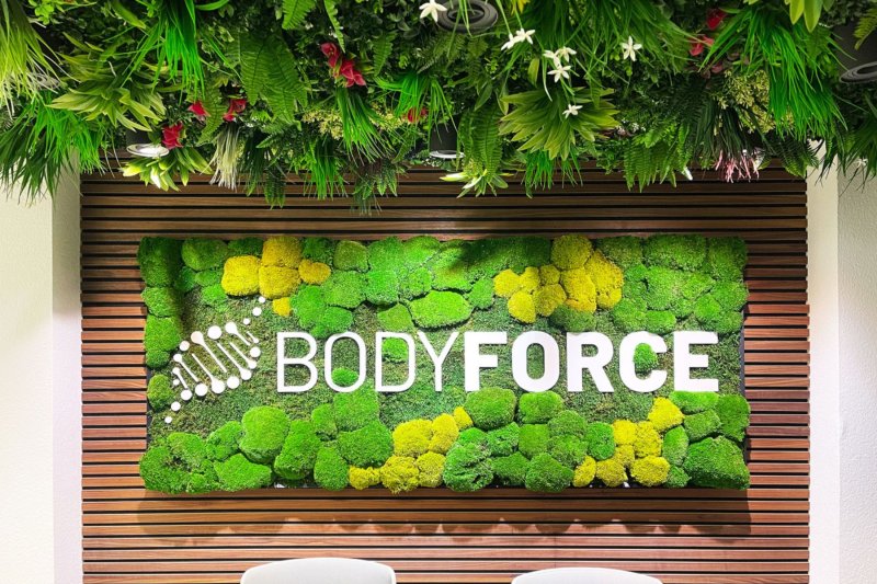 Bodyforce