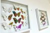 Ivet Skin Beauty